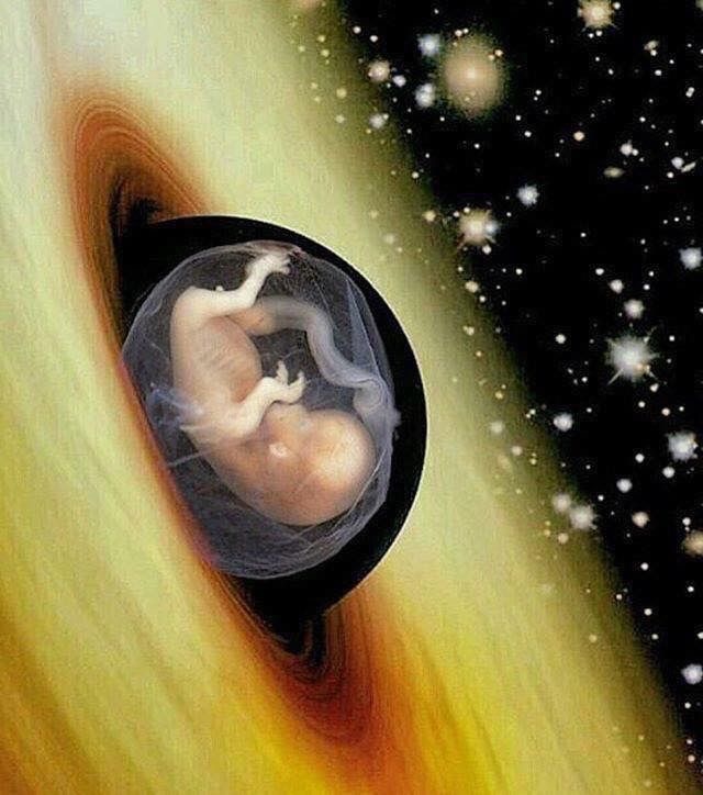 A developing baby cradled in a swirl of cosmic light and stars